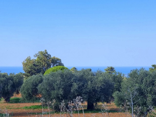 3579 M2 SEA VIEW PLOT OF LAND