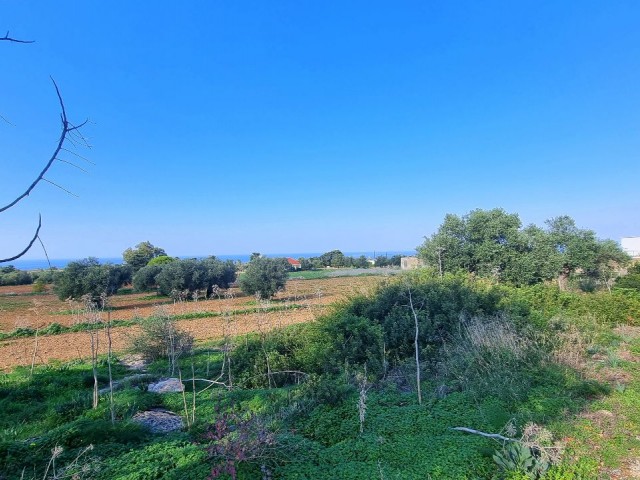 3579 M2 SEA VIEW PLOT OF LAND