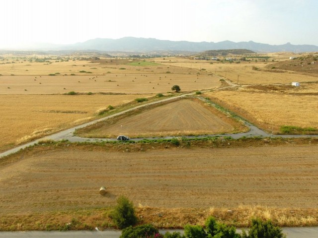 551 m² Of Plot With Residential Building Permission