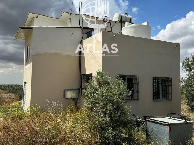 OLIVE FLOOR AND HOUSE FOR SALE IN GEÇİTKALE (OPPORTUNITY FIELD)