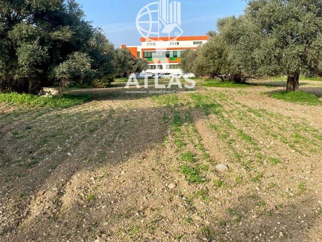 1 ACRE 3 HOUSE PLOT IN OZANKOY I.E. NATURE COLLEGE