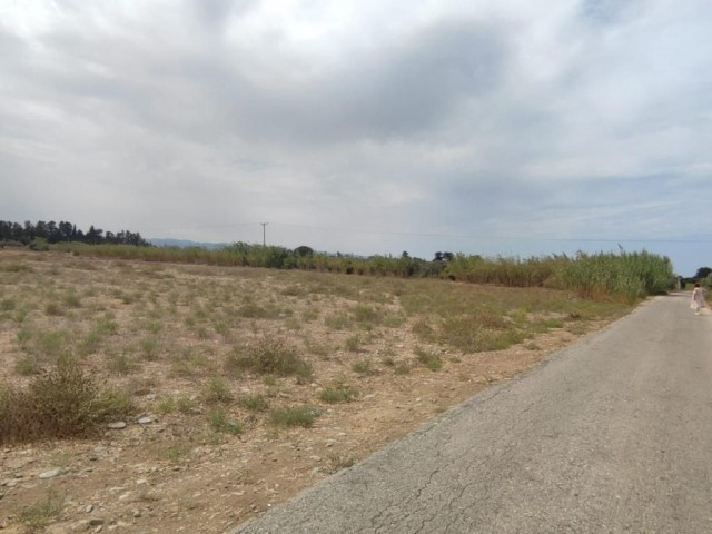 14 Hektar Land mit Bergblick in Güzelyurt