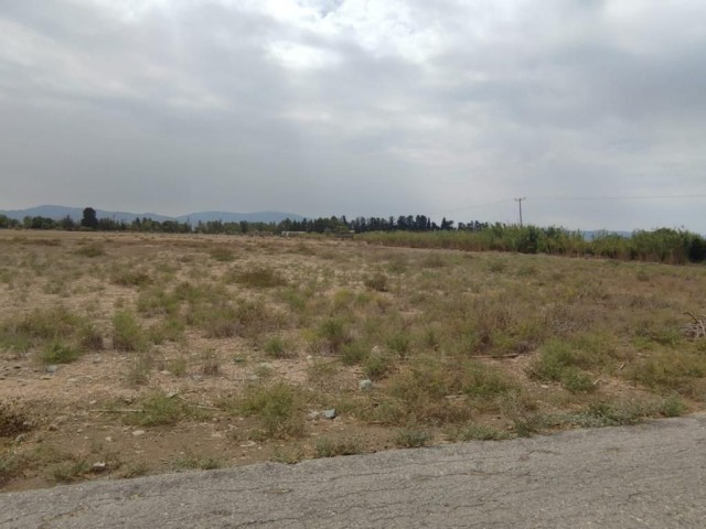 14 Hektar Land mit Bergblick in Güzelyurt