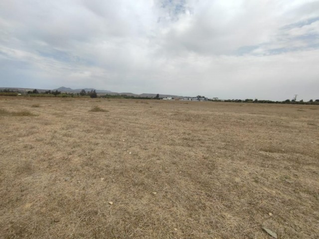 14 Hektar Land mit Bergblick in Güzelyurt