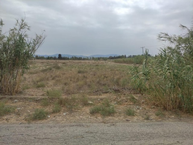 14 Hektar Land mit Bergblick in Güzelyurt