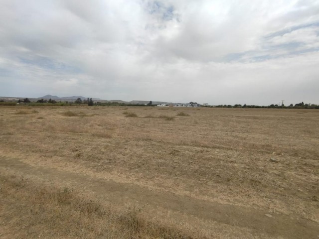 14 Hektar Land mit Bergblick in Güzelyurt