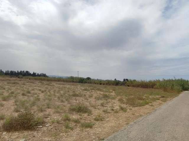 14 Hektar Land mit Bergblick in Güzelyurt