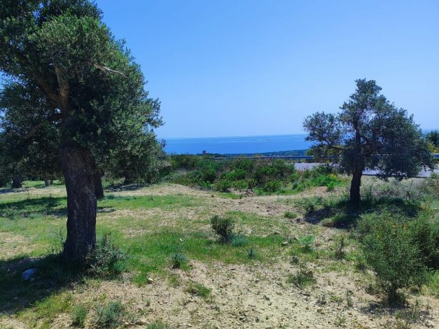 Himmel trifft Meer: Einzigartiges Land mit Berg- und Meerblick in Karpaz!