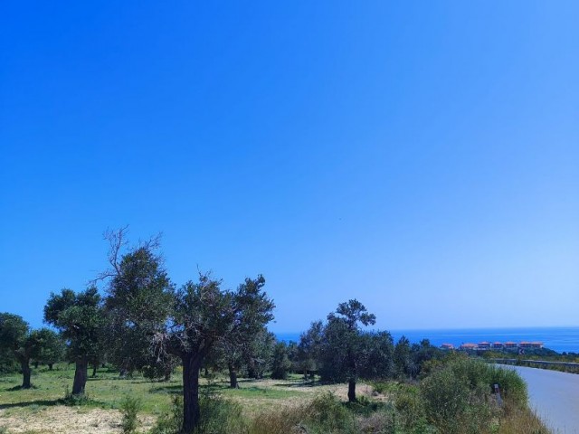 Sky meets Sea: Unique Land with Mountain and Sea Views in Karpaz!