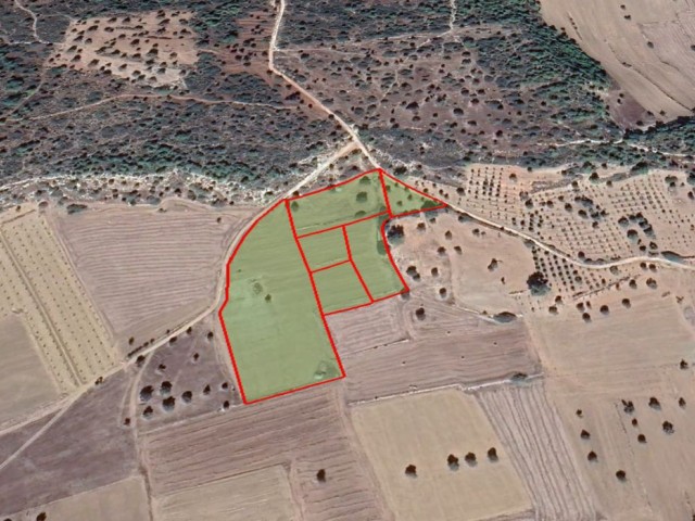 24 Acres of Land for Sale in Yedikonuk Region. Exchange for 3 2+1 Flats in Nicosia!