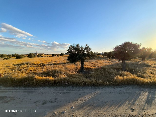 منطقه مسکونی برای فروش in Sütlüce, فاماگوستا