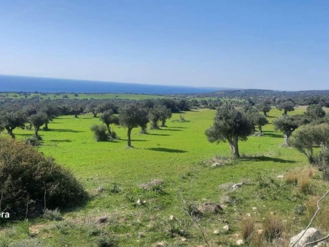 Iskele Taslica Village Land For Sale