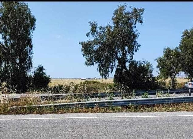8250m2 land for sale in Famagusta