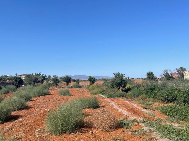 5 decare land for sale in Mormenekşe, Famagusta