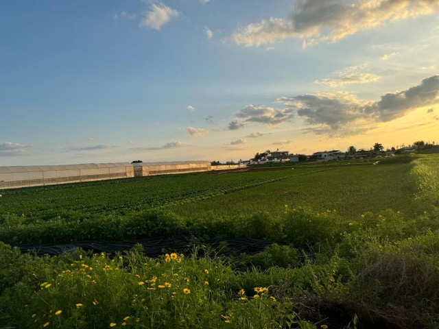 3-stöckiges lizenziertes Feld zur Entwicklung in der Region Derinya in Famagusta