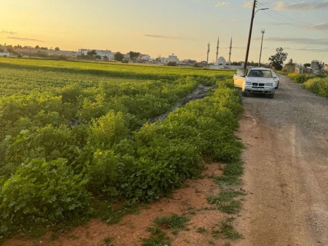 3-storey licensed field open to development in the Derinya region of Famagusta