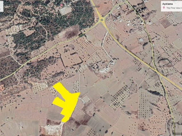 24519 m2 land for sale in İskele Büyükkonuk, open for development