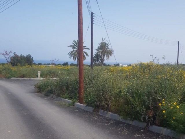 Land for sale in Famagusta Tatlısu region