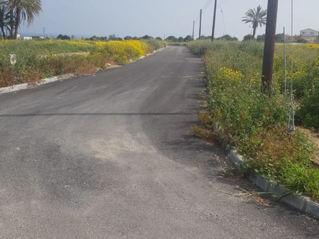 Land for sale in Famagusta Tatlısu region