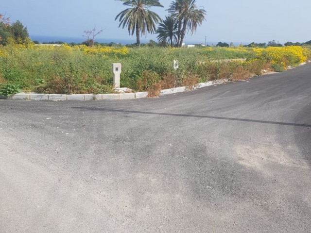 Land for sale in Famagusta Tatlısu region