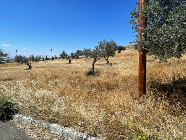 Residential Zoned Plot For Sale in Dikmen, Kyrenia