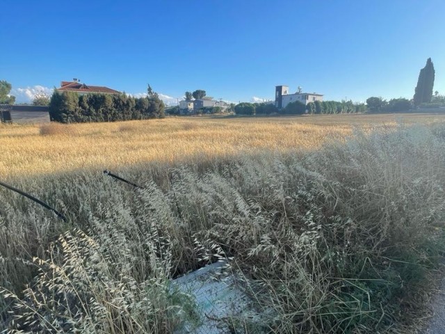 منطقه مسکونی برای فروش in Alayköy, نیکوزیا