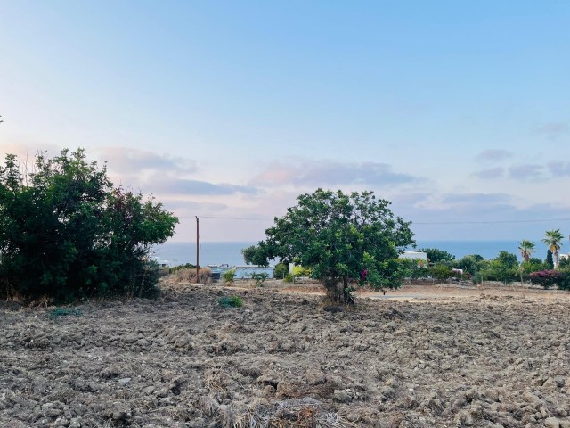 Land for sale from the owner with full sea view on the main road in Kayalar village