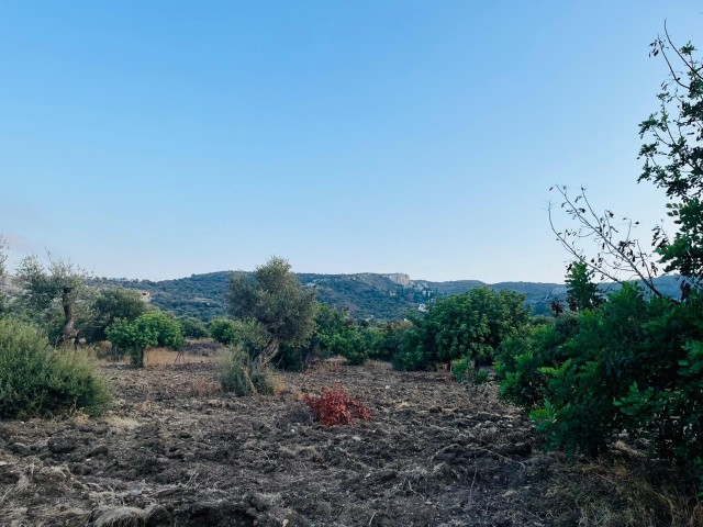 Land for sale from the owner with full sea view on the main road in Kayalar village