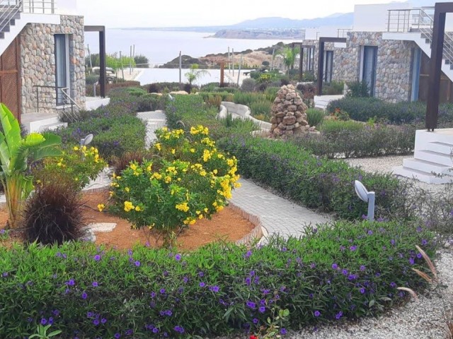 Moderner Bungalow neben einem beliebten Restaurant und Strand