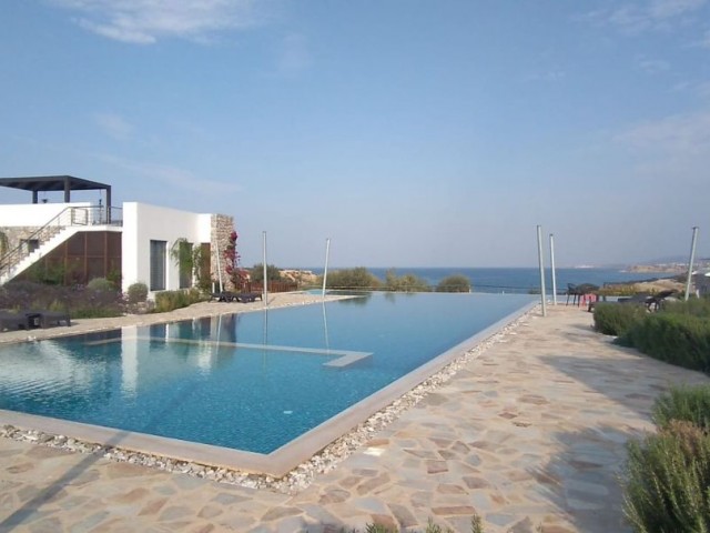 Modern Bungalow next to Popular Restaurant and Beach