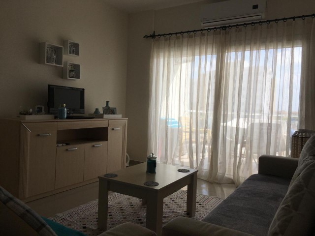 1+1 ready Apartment at Ceasar Resort - Pool view 2nd floor