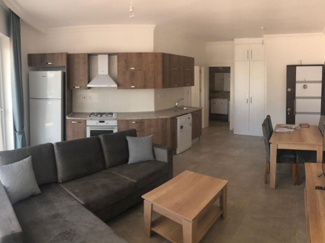 1+1 FLAT WITH LARGE GARDEN FOR SALE IN GIRNE KARAOĞLANOĞLU