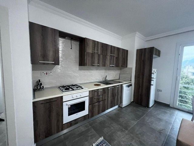 1+1 FLAT WITH LARGE TERRACE FOR SALE IN GIRNE KARAOĞLANOĞLU