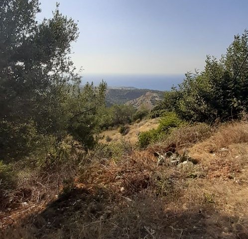 زمین با منظره ای جالب در موقعیت مکانی در کرااچ