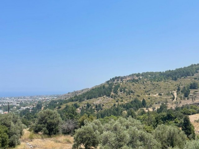 SEA AND MOUNTAIN VIEW PROJECT IN KYRENIA LAPTADA READY TO SALE 3.5 DECEMBER OF LAND