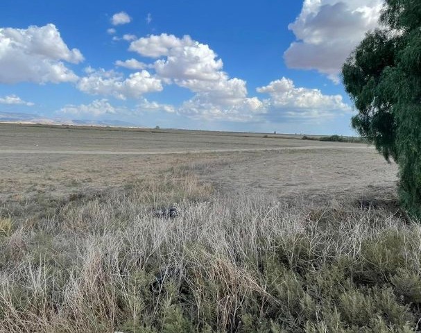 TÜRKISCHES KOÇANLI 14-FELD ZUM VERKAUF, NEU AUF DER STRASSE AN DER FAMAGUSTA-STRASSE