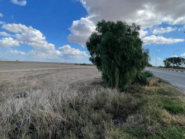 TÜRKISCHES KOÇANLI 14-FELD ZUM VERKAUF, NEU AUF DER STRASSE AN DER FAMAGUSTA-STRASSE