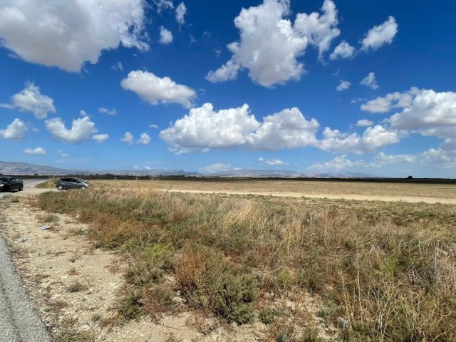 TÜRKISCHES KOÇANLI 14-FELD ZUM VERKAUF, NEU AUF DER STRASSE AN DER FAMAGUSTA-STRASSE