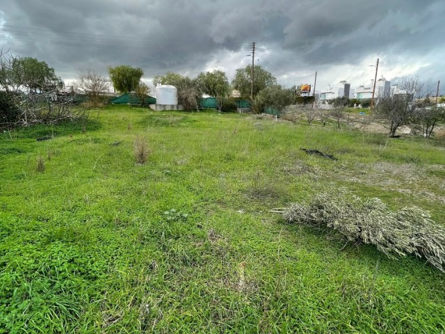 TÜRKISCHES KOÇANLI-LAND ZUM VERKAUF IN GÖNYELİ