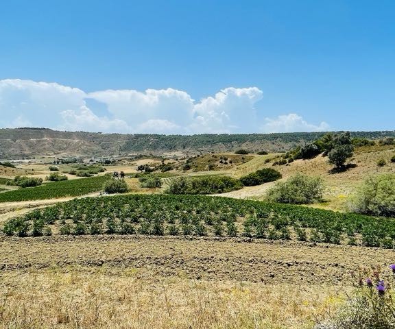 رشته برای فروش in Geçitköy, گیرنه