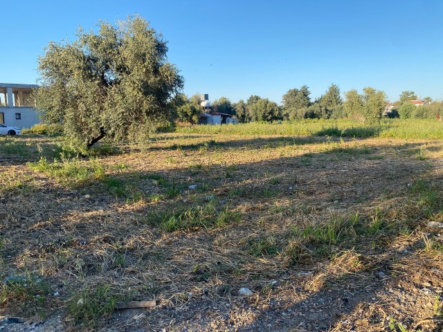 GIRNE OZANKÖY ZONED 1500 m2 LAND FOR SALE IN A PERFECT LOCATION