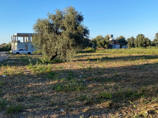 GIRNE OZANKÖY ZONED 1500 m2 LAND FOR SALE IN A PERFECT LOCATION