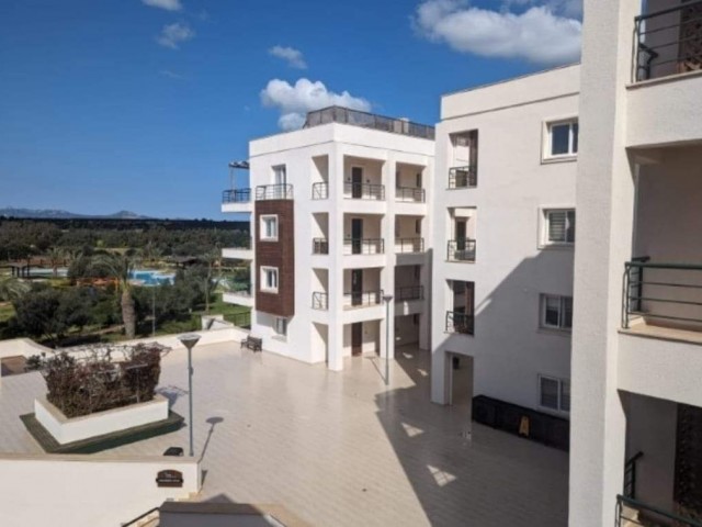 3+1 penthouse for sale in bafra