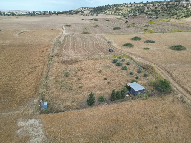 Feld zum Verkauf in Cayirova