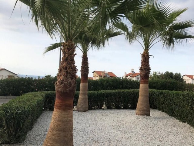 Charmanter Bungalow mit malerischem Meerblick in Esentepe