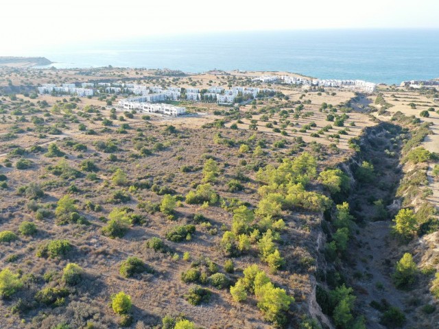 EXCLUSIVE LAND DEAL, GREAT INVESTMENT POTENTIAL ***