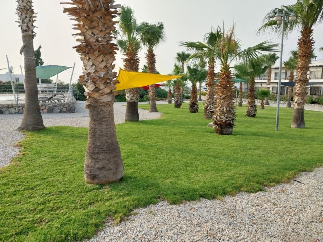 Affordable GARDEN APARTMENT very close to the sea with sunset view!!!