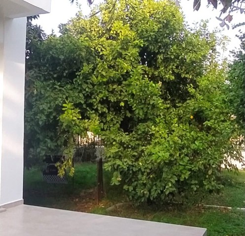 3+1 villa with pool for sale in Kyrenia Ozanköy