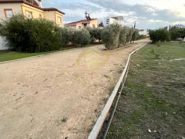 Eben Mieten in Metehan, Nikosia