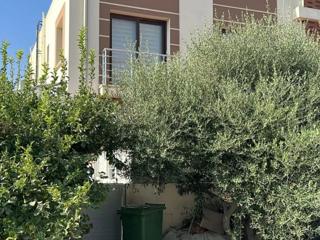 NICOSIA GÖNYELİ 3+1 İKIZVILLA برای فروش